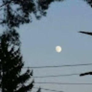 Meet your Posher, Albert